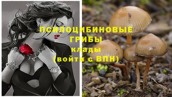 хмурый Алапаевск